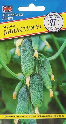 Огурец