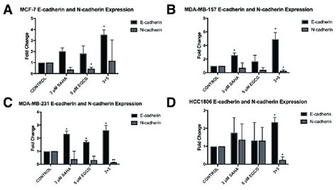 The Expression Of E Cadherin Was Induced With Saha And Egcg While The