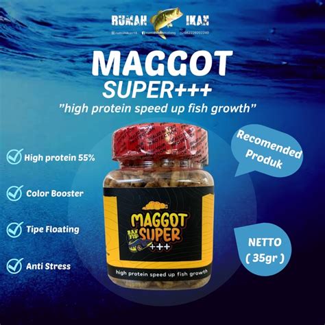 Jual Maggot Super Bang Fish X Fajar Arief Extra Betacarotene