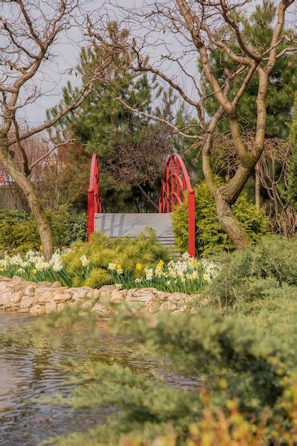 Un Puente Rojo En Un Parque Con Un Estanque Y Flores Al Fondo Foto