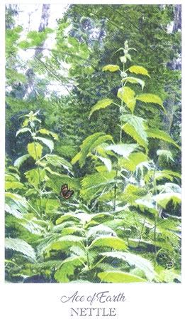 The Herbcrafter’s Tarot