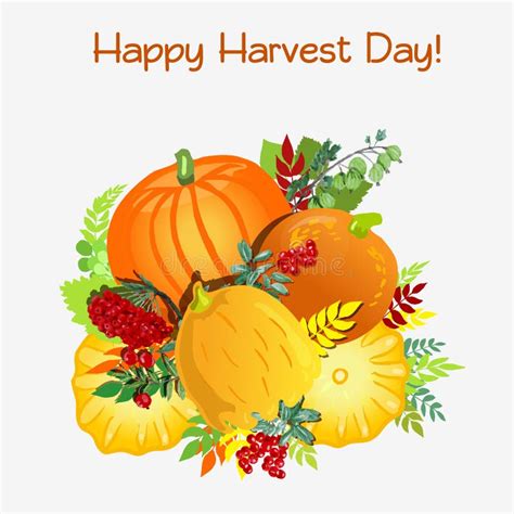 Happy Harvest Day Collection Of Pumpkins And Berries Vector