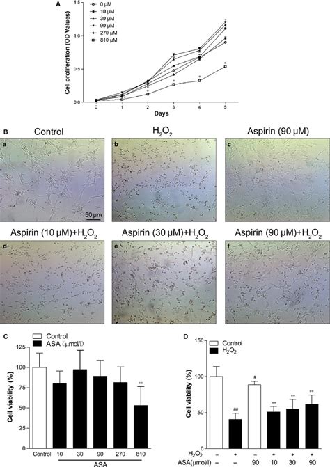 Protective Effect Of Aspirin On H2o2 Induced Cytotoxicity In Primary