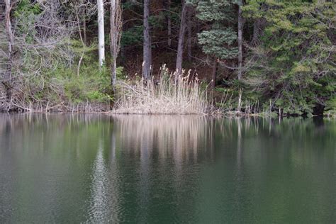 Il Parco Su RAI UNO Linea Verde Parco Dei Monti Lucretili