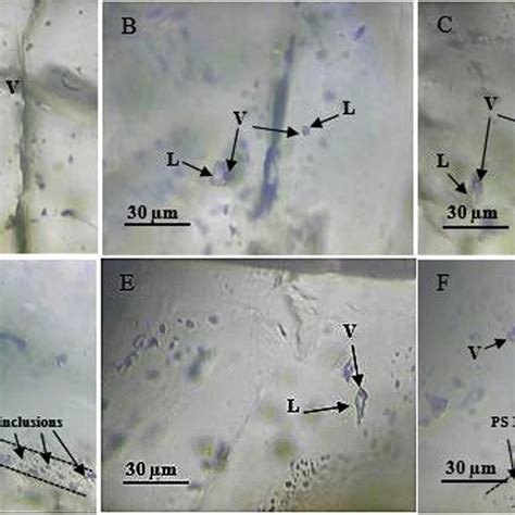 Photomicrographs Of Fluid Inclusion Assemblages Fis Of The Three