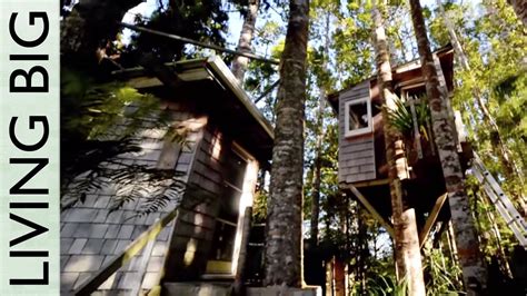 Incredible Diy Tiny Tree House Tour Youtube