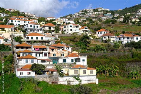 Hillside houses near Cancela, Funchal, Madeira Island, Portugal Stock ...