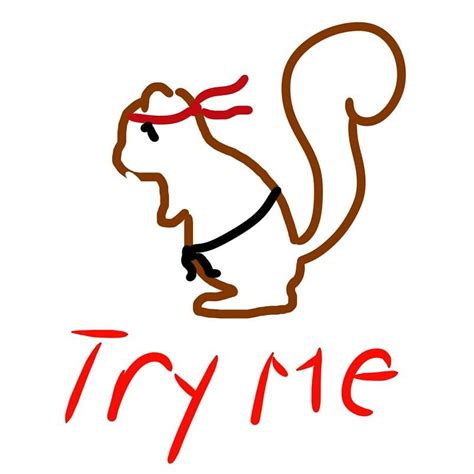 Kung Fu Squirrel Digital Art by Mark Schneider - Fine Art America