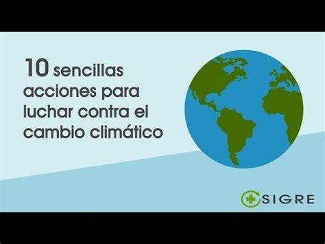 10 soluciones efectivas para prevenir el cambio climático Nova Esfera