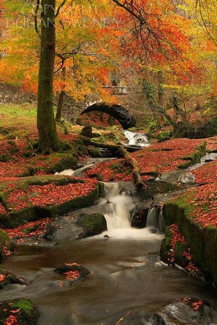 24 best Fall In Ireland..... images on Pinterest | Ireland, Fall ...