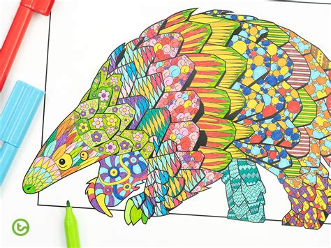 NEW Mindful Colouring Pages | Amazing Animals! | Teach Starter