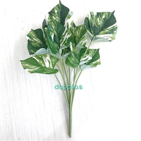 Jual Daun Monstera Variegata X9 Semi Latex Motif Artificial Tanaman