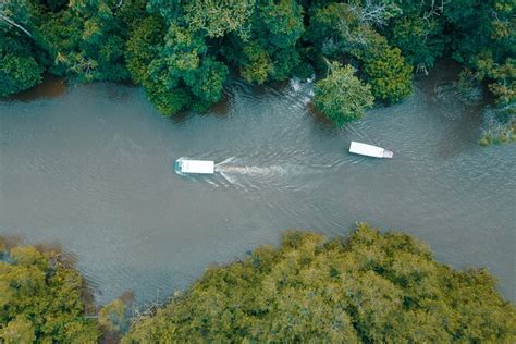 Tortuguero Canals Tour And Puerto Limon Highlights