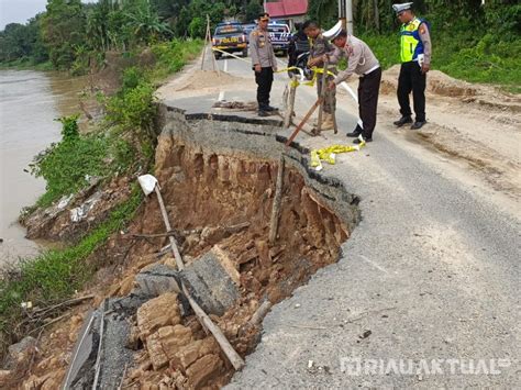 Akibat Abrasi Sungai Indragiri Lima Titik Jalan Di Riau Alami Longsor