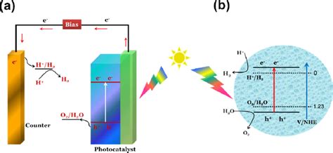 The Mechanism And Principle Of A Photoelectrochemical Cell And B