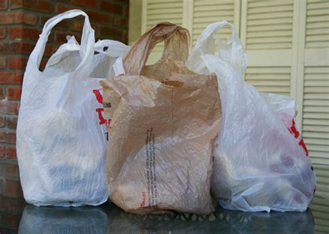 Paper Or Plastic Shopping Bags Simple Ecology