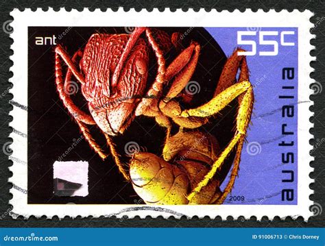 Ant Australian Postage Stamp Editorial Stock Photo Image Of Icon