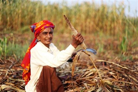 India Takes The Lead In Promoting The 2023 International Year Of Millets