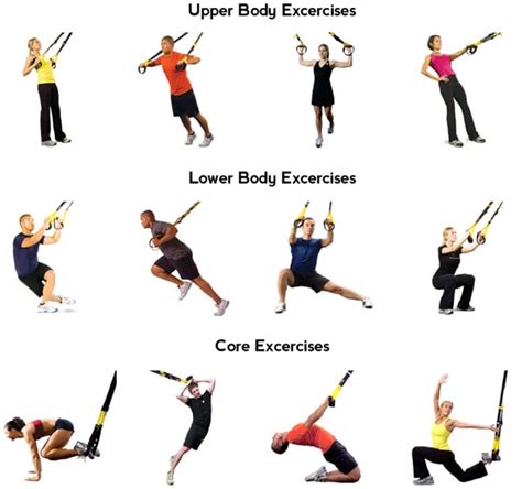 Suspension Training TRX Facts And Posters CalorieBee