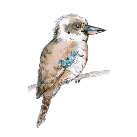 Kookaburra Wildlife Rescue Appeal Art Print Watercolour | Etsy