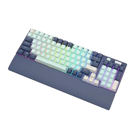 Royal Kludge RK96 96% Layout Mechanical Keyboard With Magnetic Wrist ...