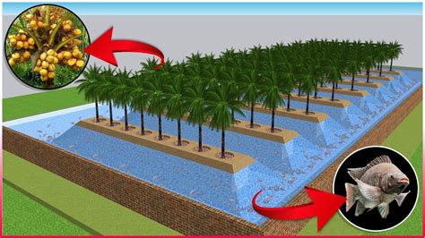 Integrated coconut and fish farming integrated farming system planning ...