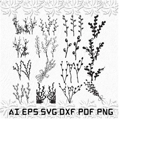 Pussy Willow Svg Pussy Svg Willows Svg Flower Flowers S Inspire