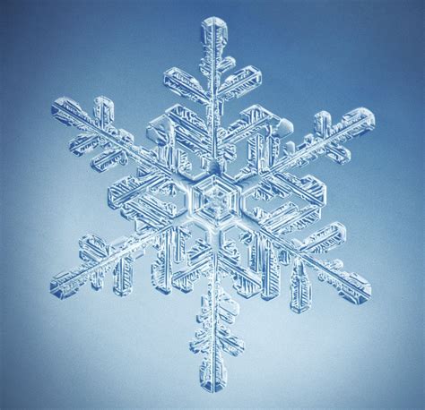 Snowflake Shapes Are Not So Unique After All? | Snowflake pictures, Snowflake images, Snowflakes