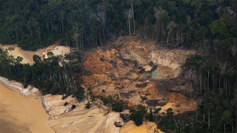 Crisis Humanitaria De Los Indígenas Yanomami En Brasil Y El Plan De