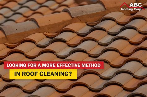 A More Effective Way To Clean Your Roof And Keep It Clean