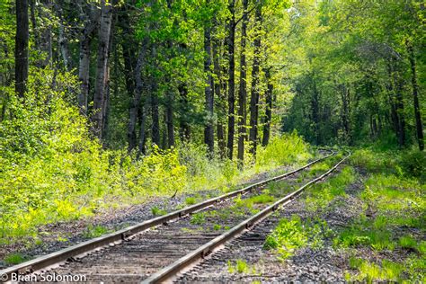 Tracking the Light: Coming attractions! | Tracking the Light