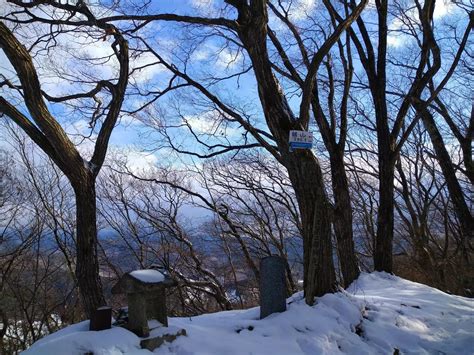 鑪山・殿ヶ武士山・蝶ヶ森山・金勢山 キノコさんの盛岡市の活動データ Yamap ヤマップ