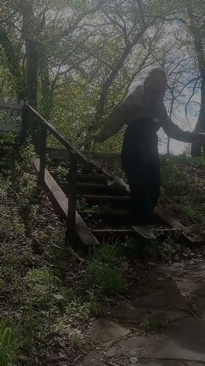 красивая книга.. #спокойствие #эстетичнаямузыка #книги #лето #лес - YouTube