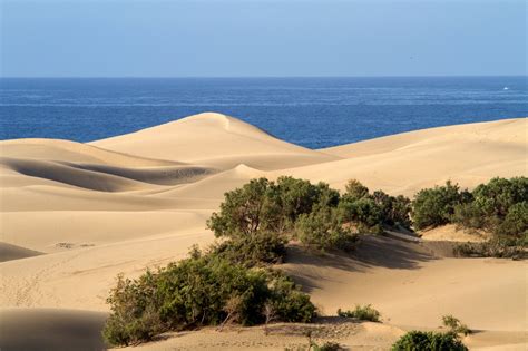 Gambar Pantai Pemandangan Laut Gurun Bukit Pasir Bahan Habitat