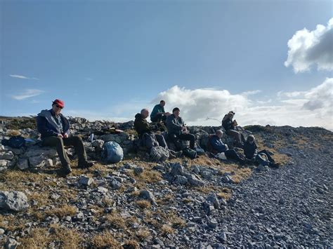 Whitbarrow Trip Bryophyte Report 18 February 2024 Cumbria Lichens And