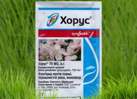 Фунгицид Хорус: инструкция по применению и нормы расхода для разных культур