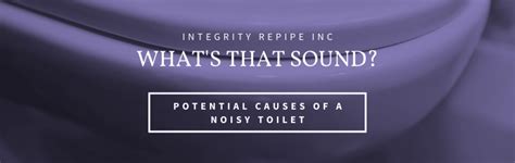 What’s that Sound? Potential Causes of a Noisy Toilet - Integrity Repiping