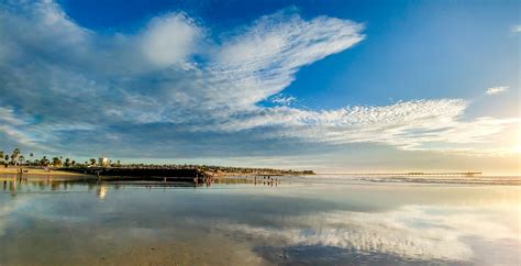 Dog Beach | Ocean Beach San Diego CA