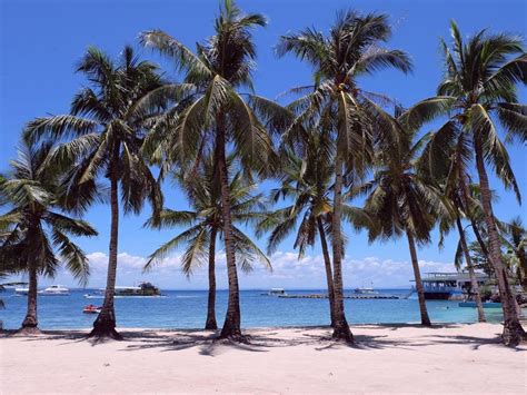 Top 25 Beach Resorts in Cebu (North And South Cebu) - Gamintraveler