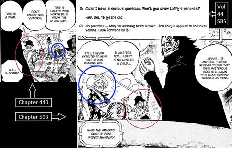 Luffy's mother? : OnePiece