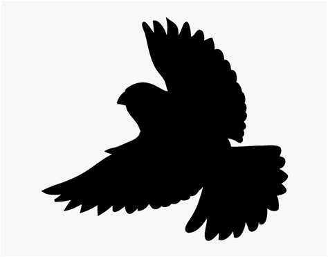 Flying Robin Silhouette