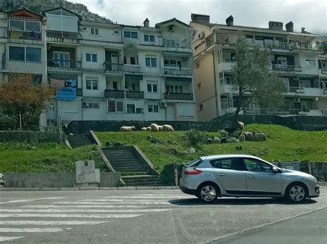 Kotor naoružajte se strpljenjem već su saobraćajne gužve Boka News