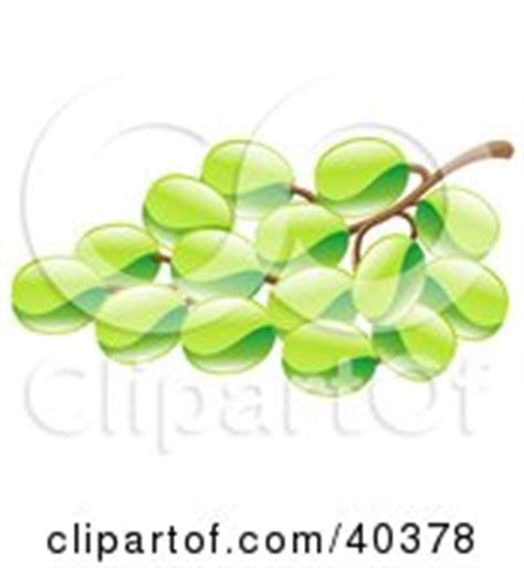 Clipart Illustration of a Black And White Grape Vine With Bunches Of ...