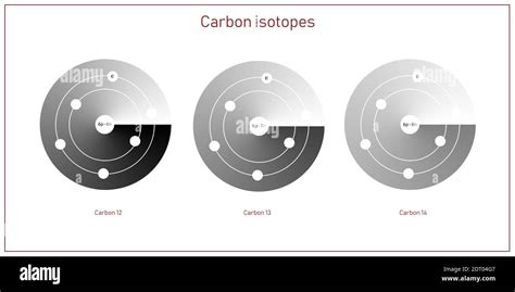 Un Insieme Di Isotopi Di Carbonio Struttura Atomica In Un Elementare