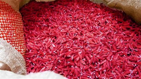 D Nde Se Cre El Arroz Rojo Descubre El Origen Del Arroz Rojo