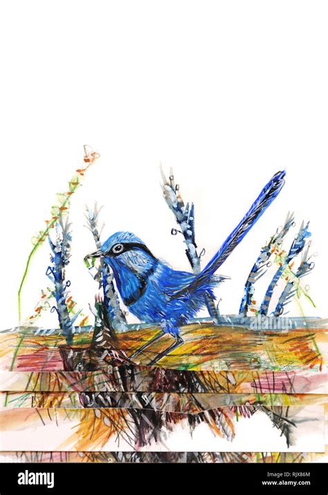 Colourful bird drawing Stock Photo - Alamy