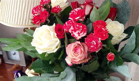 Birthday surprise for Care at Home client - Care South