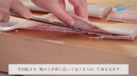 太刀魚（たちうお）のさばき方 How To Filet Cutlassfish ｜日本さばけるプロジェクト 日本さばけるプロジェクト