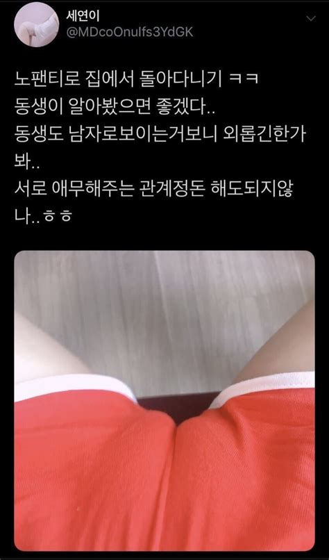 오싹오싹한 친누나 유머움짤이슈 에펨코리아