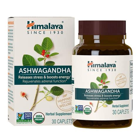 The 9 Best Ashwagandha Supplements of 2022 | by Byrdie